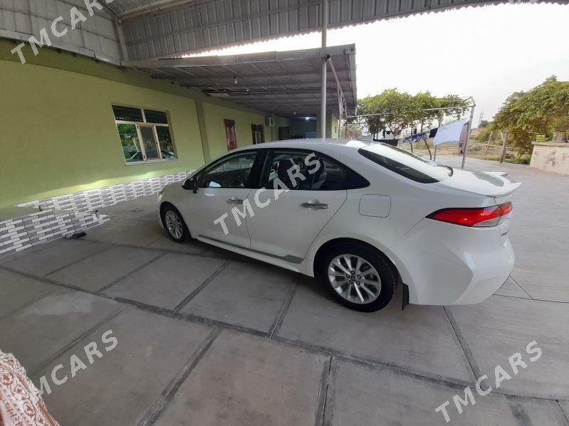 Toyota Corolla 2021 - 265 000 TMT - Кака - img 5