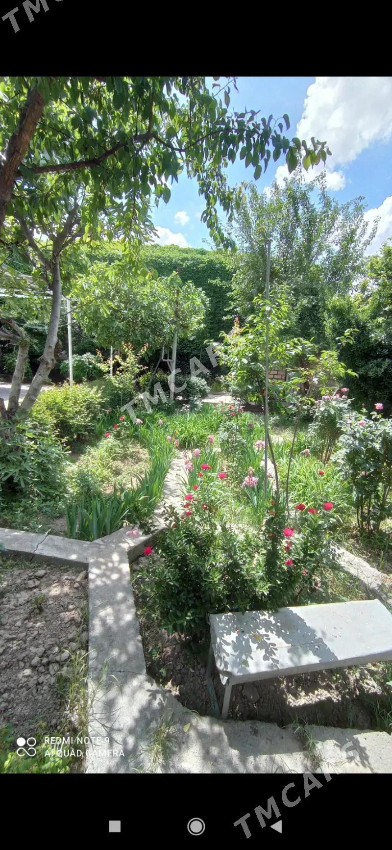 ЕРЕВАНСКАЯ - Aşgabat - img 10