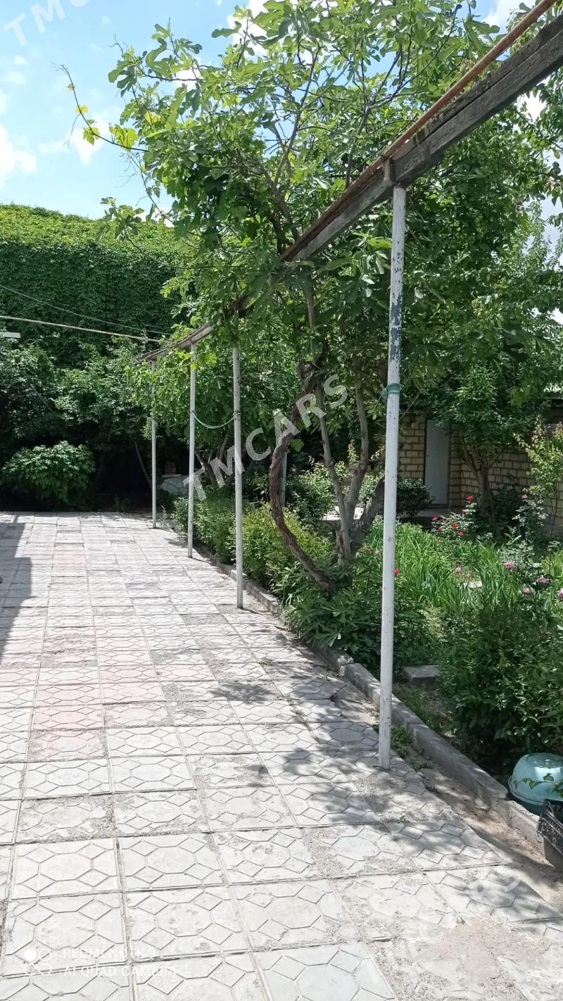 ЕРЕВАНСКАЯ - Aşgabat - img 6