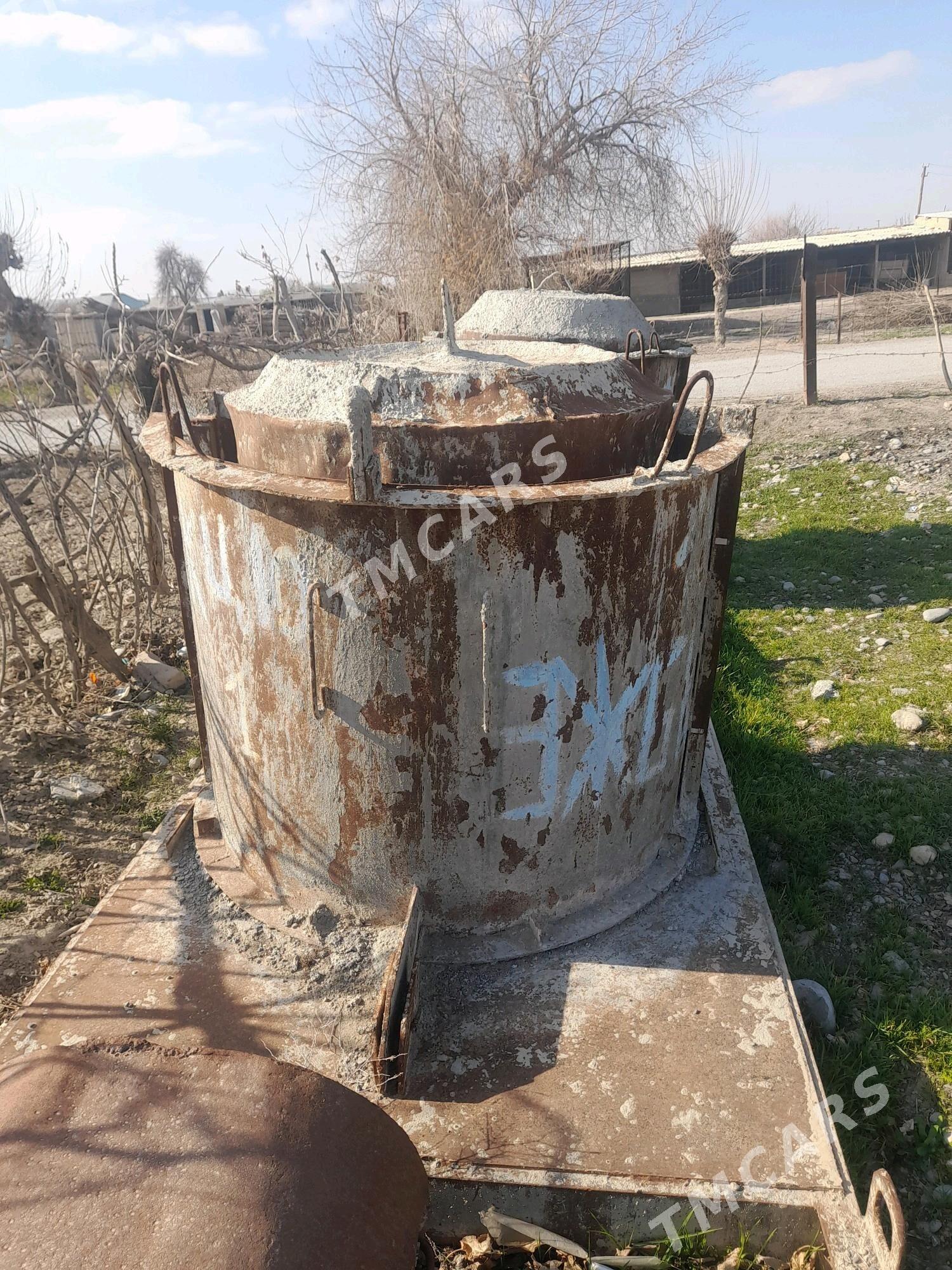 kalso yasayan galyp - Kaka - img 2