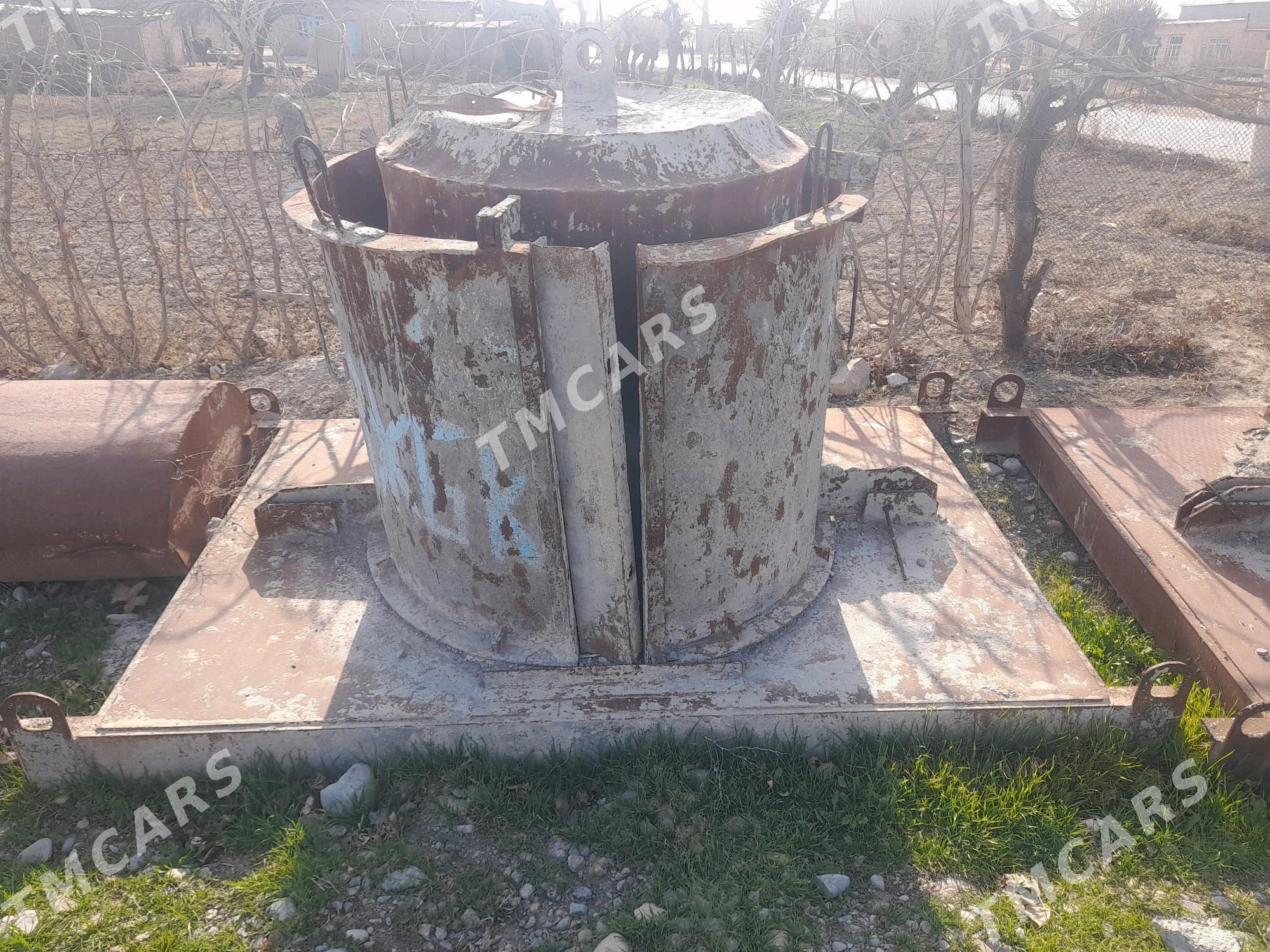 kalso yasayan galyp - Kaka - img 3