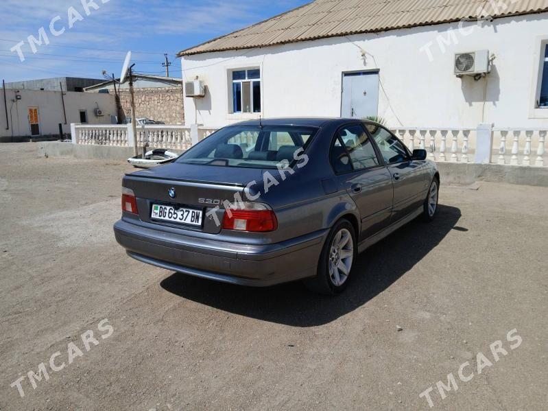 BMW 525 2003 - 110 000 TMT - Гумдаг - img 2