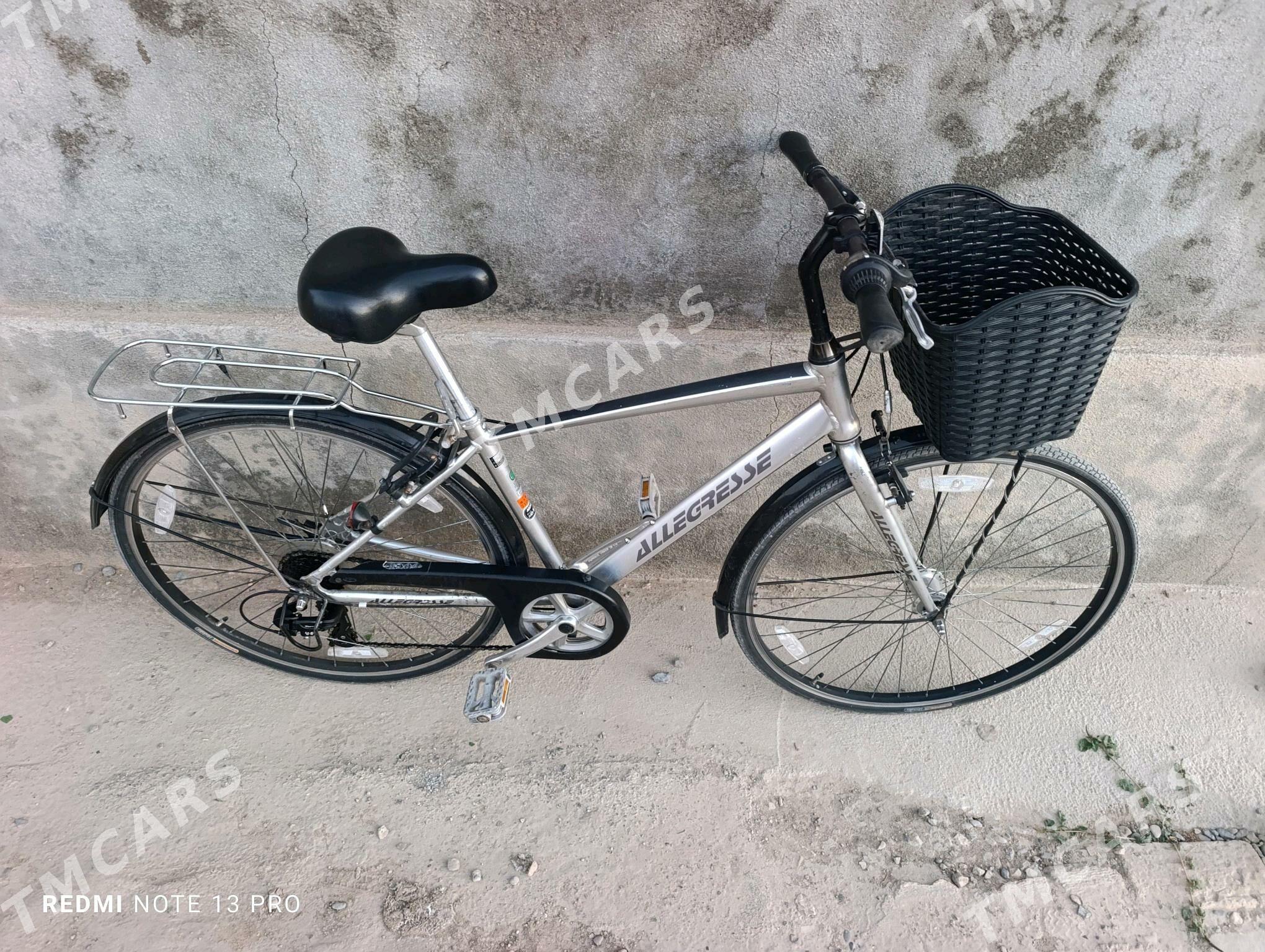 velisiped 27 - Mary - img 6