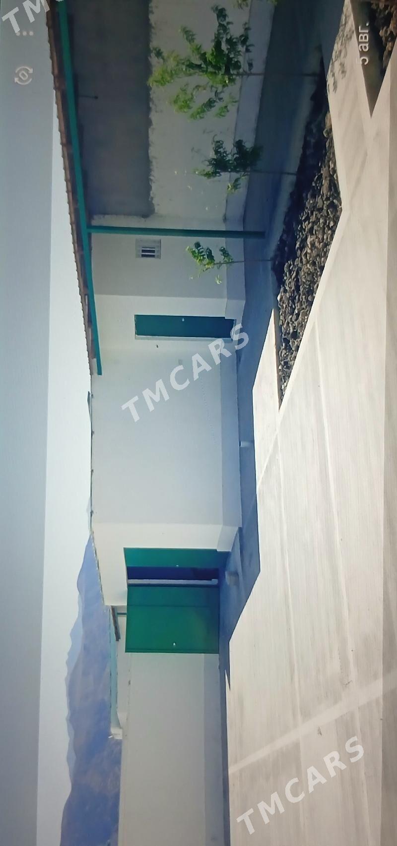 Plon jay - Bäherden - img 3