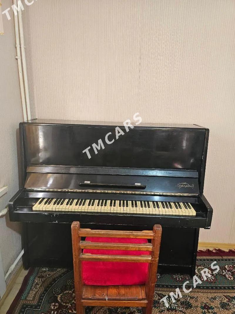 PIANINA ПИАНИНА - Mary - img 3