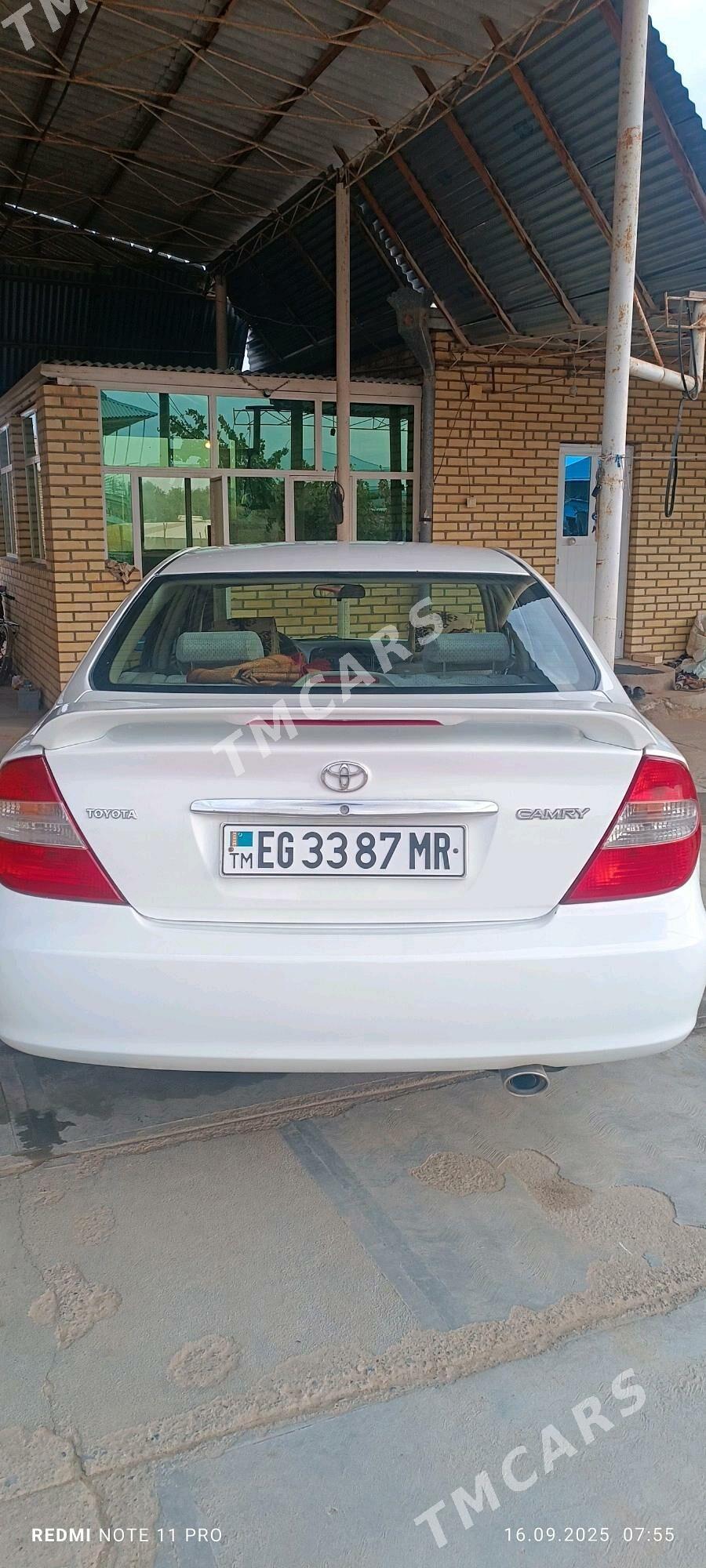 Toyota Camry 2002 - 145 000 TMT - Векильбазар - img 2