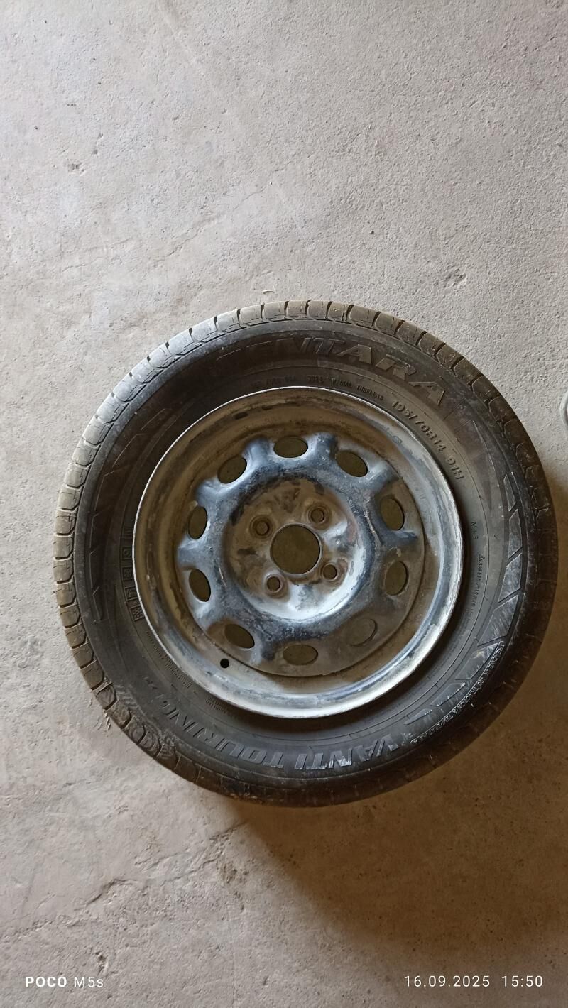 Teker 550 TMT - Сакарчага - img 2