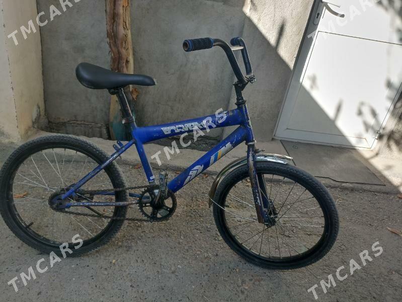 tigir gyssagly 20lik тигир uly - Bedew - img 1