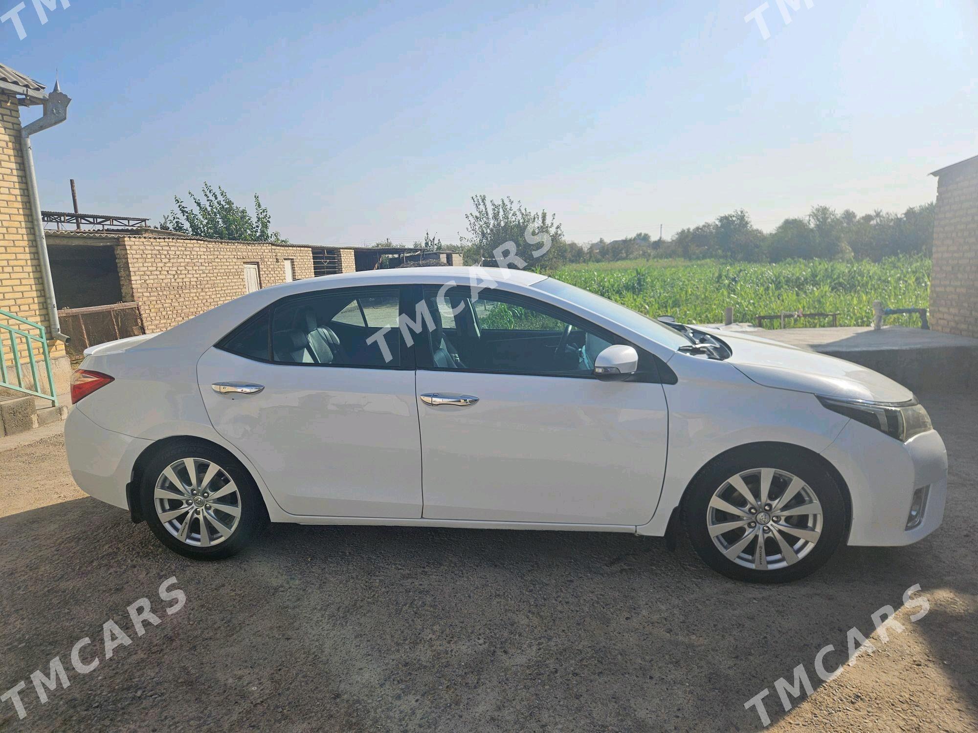 Toyota Corolla 2014 - 154 000 TMT - Tejen - img 3