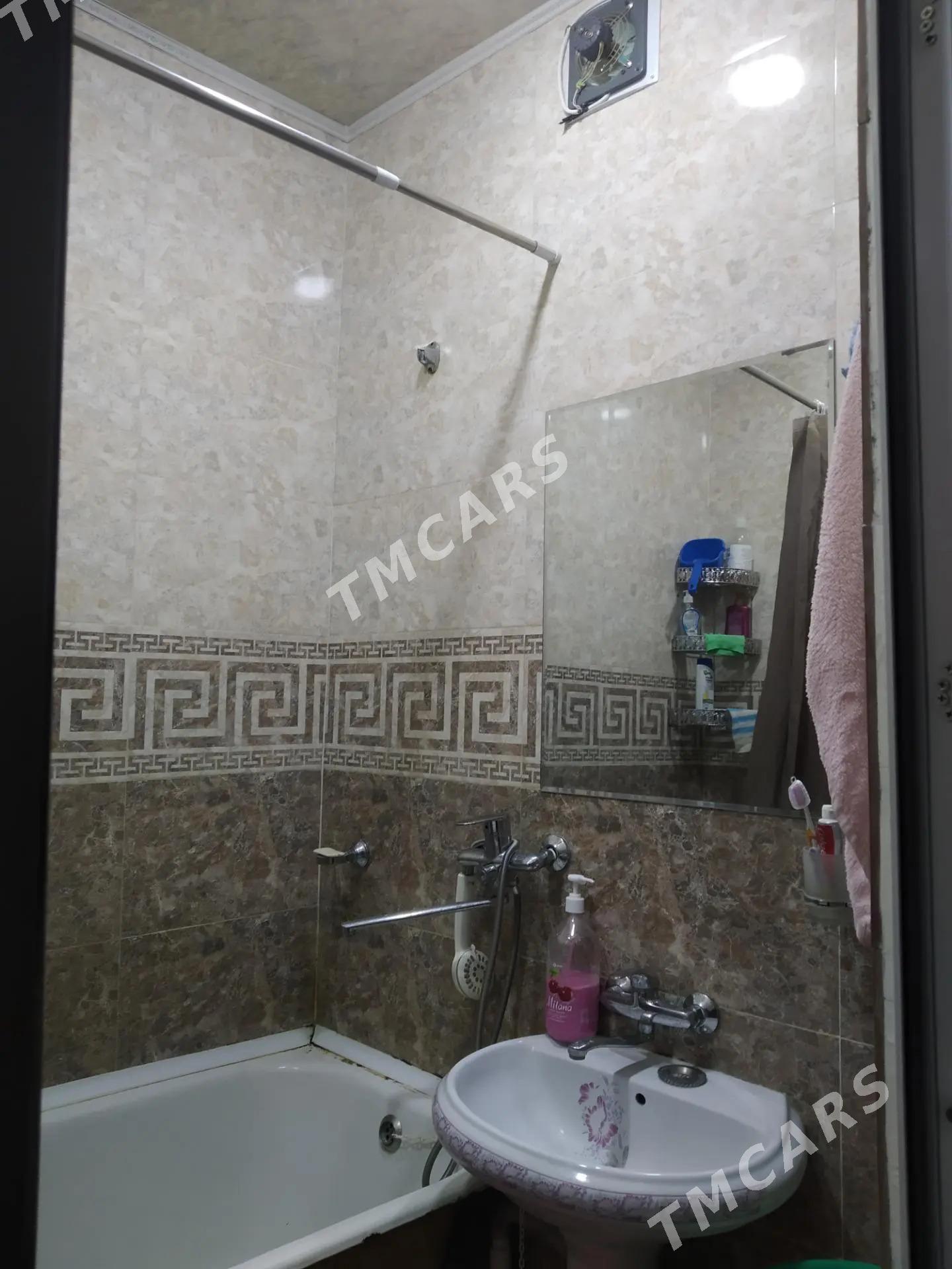 satlyk jaylar, Yerewanskiý - Aşgabat - img 3