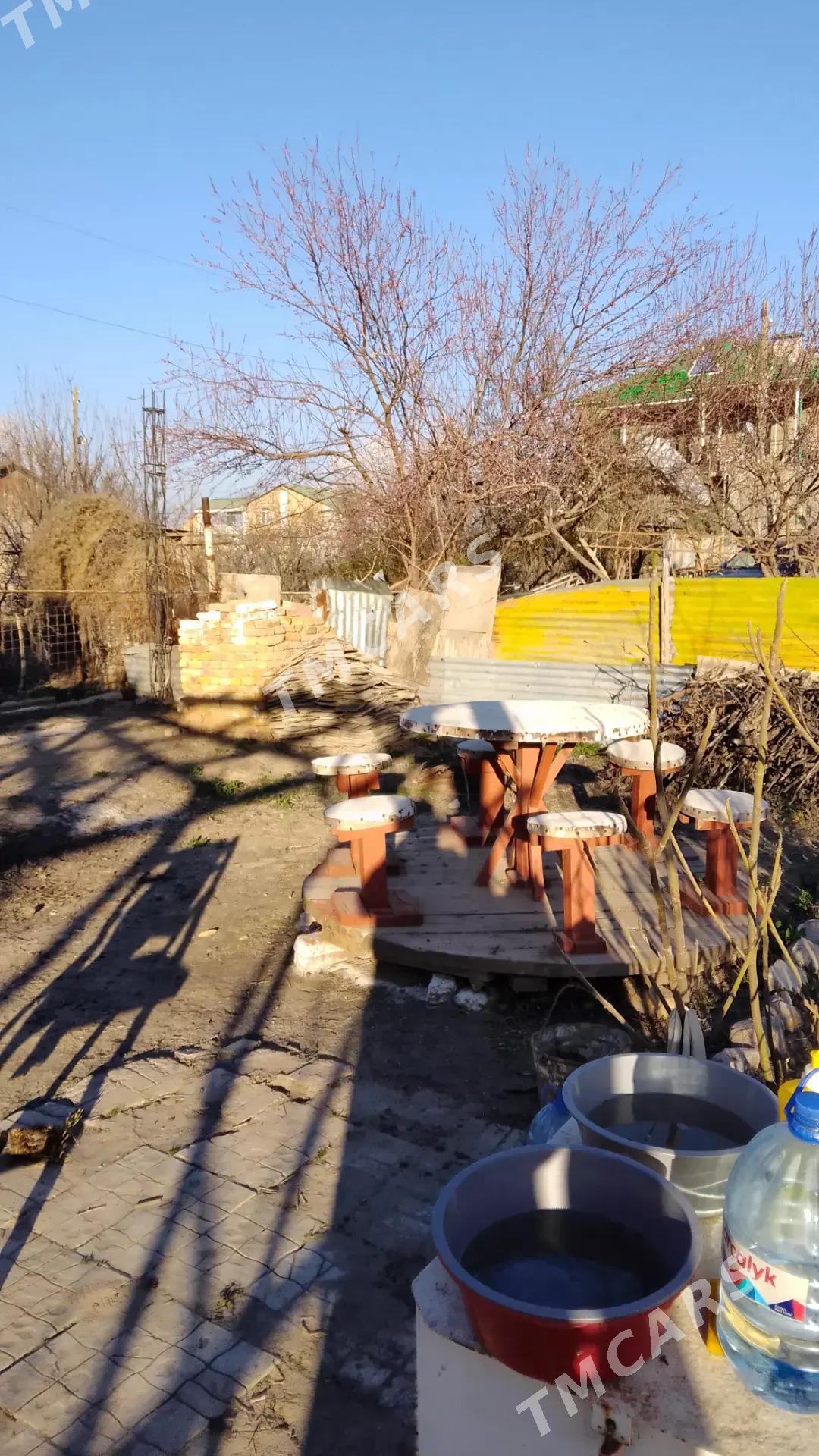 Продаю Дачу - Türkmenabat - img 5