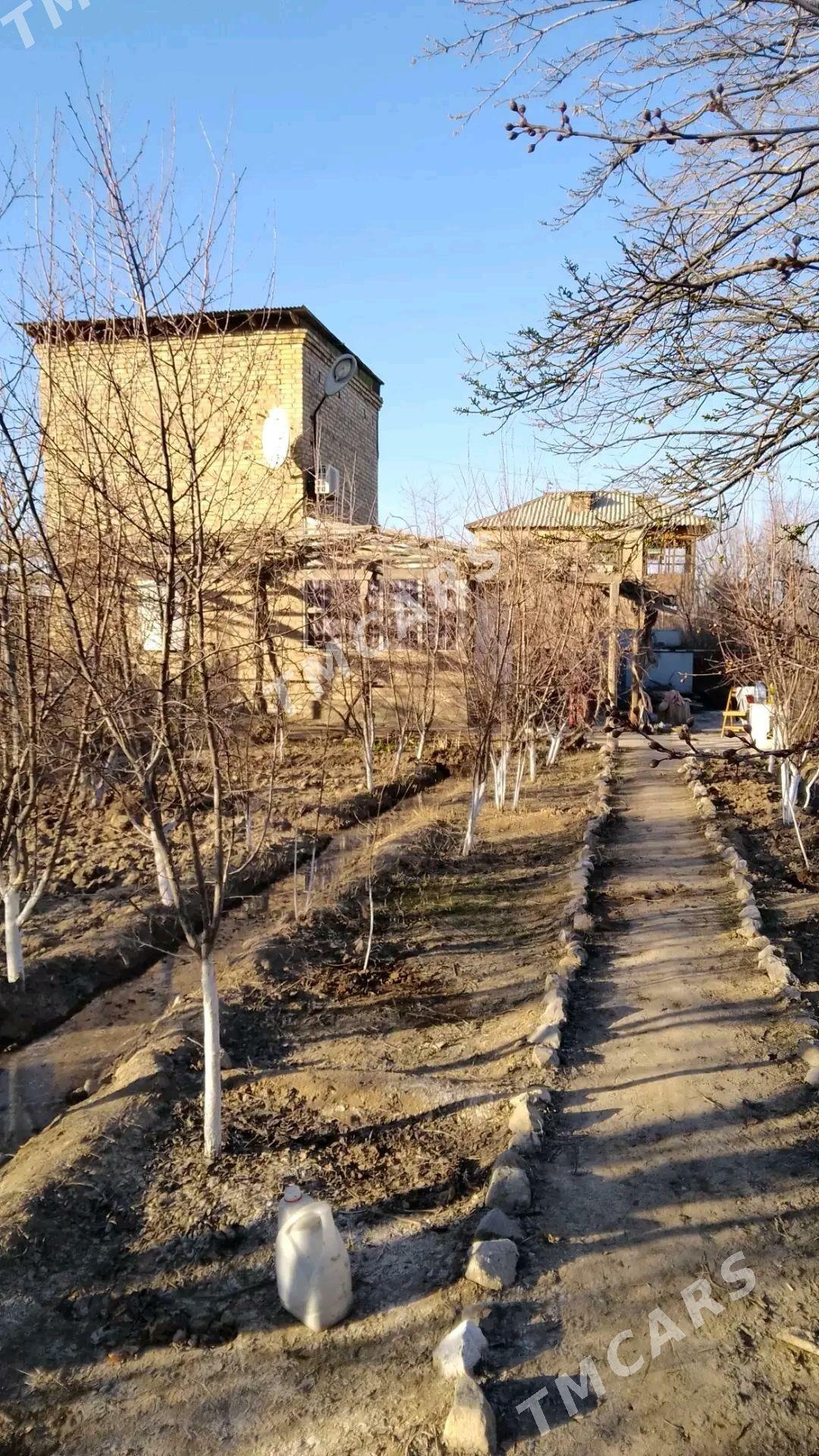Продаю Дачу - Türkmenabat - img 10