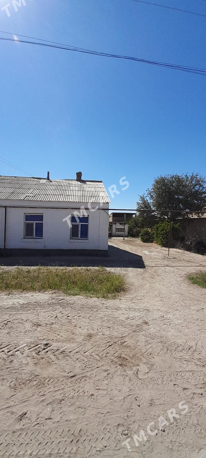 jaý - Garabekewül - img 3