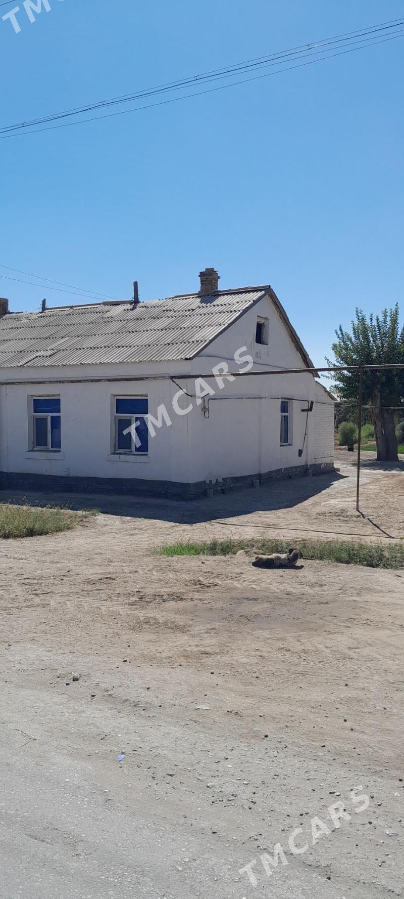 jaý - Garabekewül - img 1