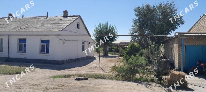 jaý - Garabekewül - img 2