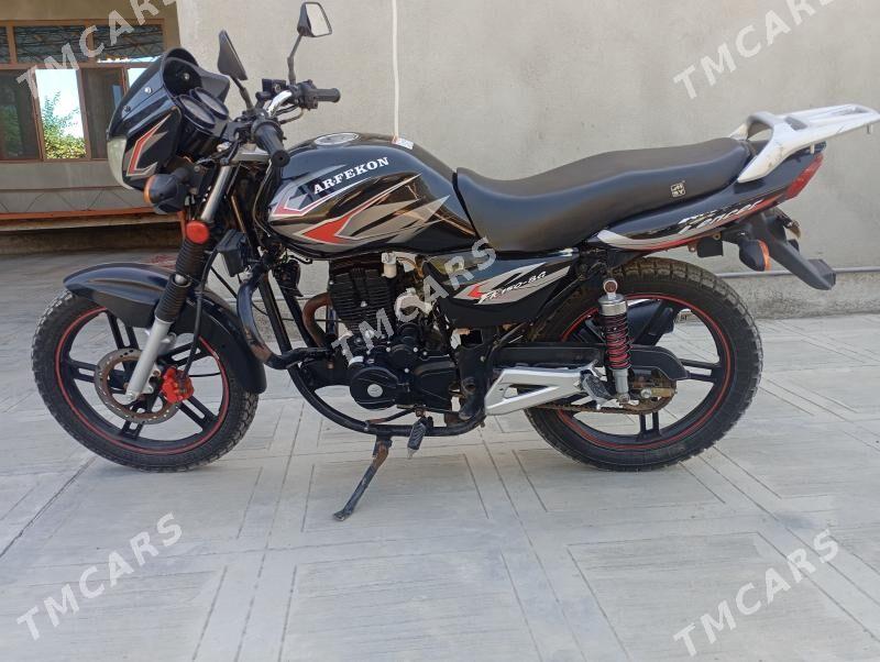 Fekon FK200-14G 2024 - 15 000 TMT - Гарабекевюл - img 6