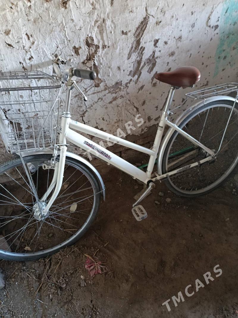 Satlyk welik - Şabat etr. - img 2