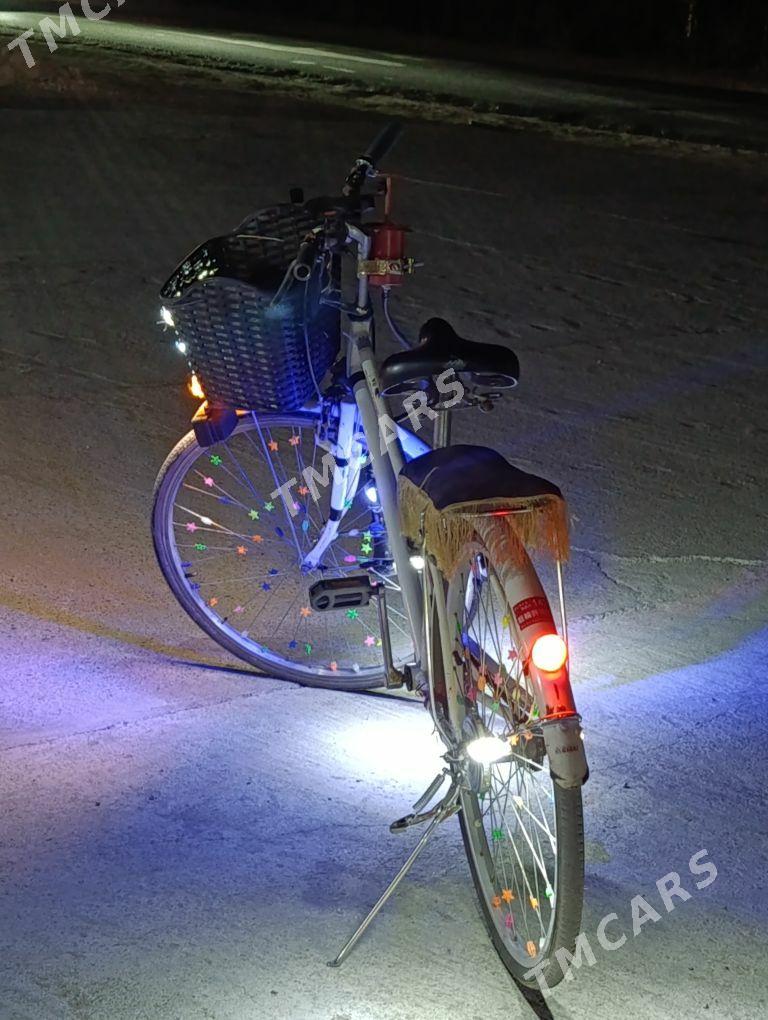 welik 26 - Mary - img 7