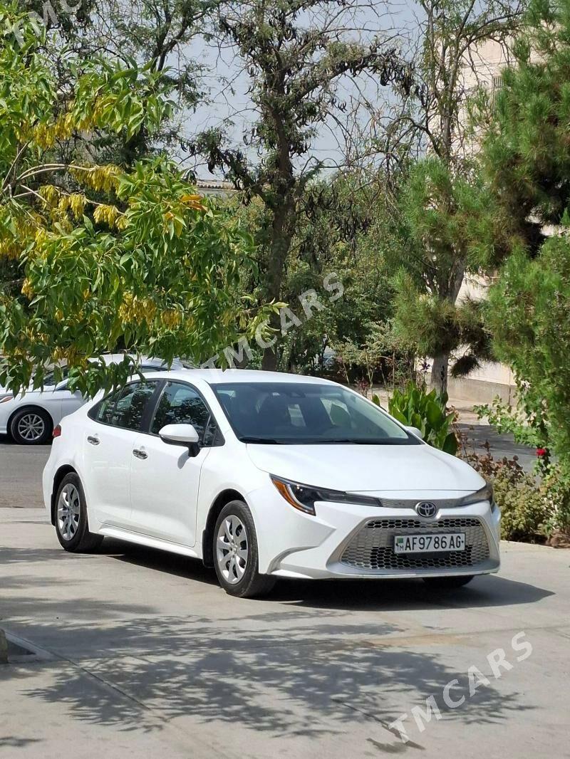Toyota Corolla 2023 - 285 000 TMT - Ашхабад - img 1