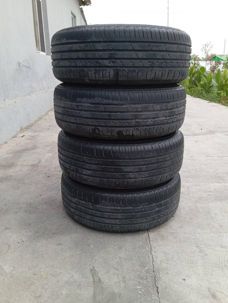 Dysga pakryşga 16 4 000 TMT - Bedew - img 2