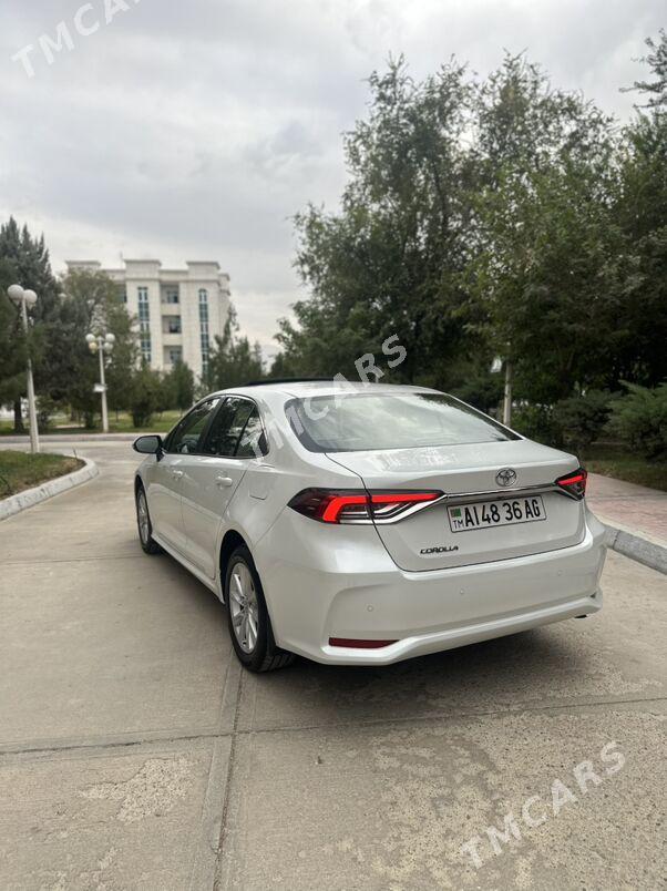 Toyota Corolla 2025 - 415 000 TMT - Хитровка - img 3