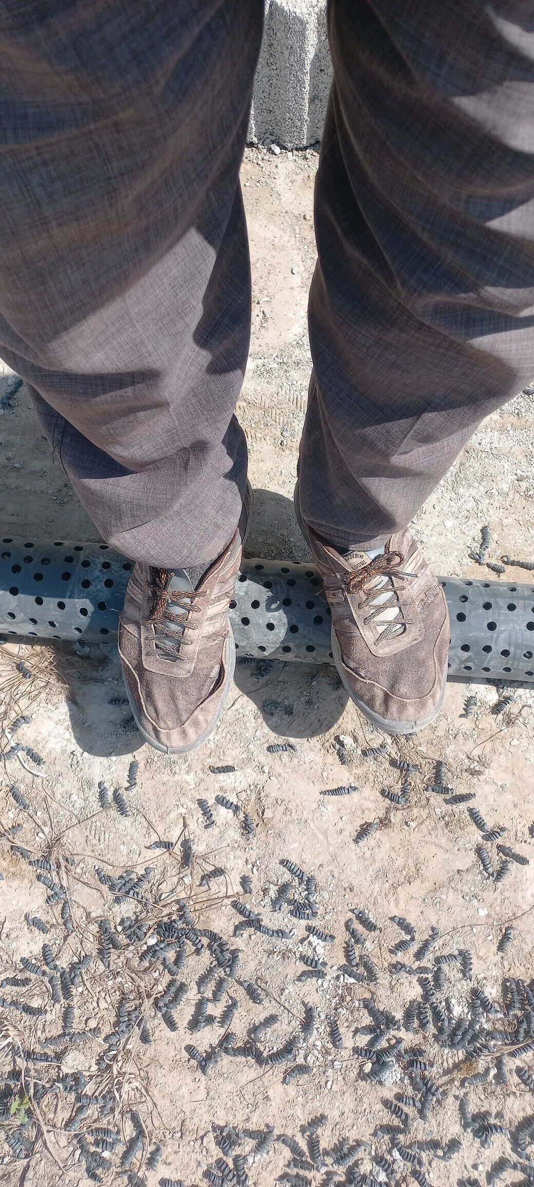 Guyy gazyas - Änew - img 10