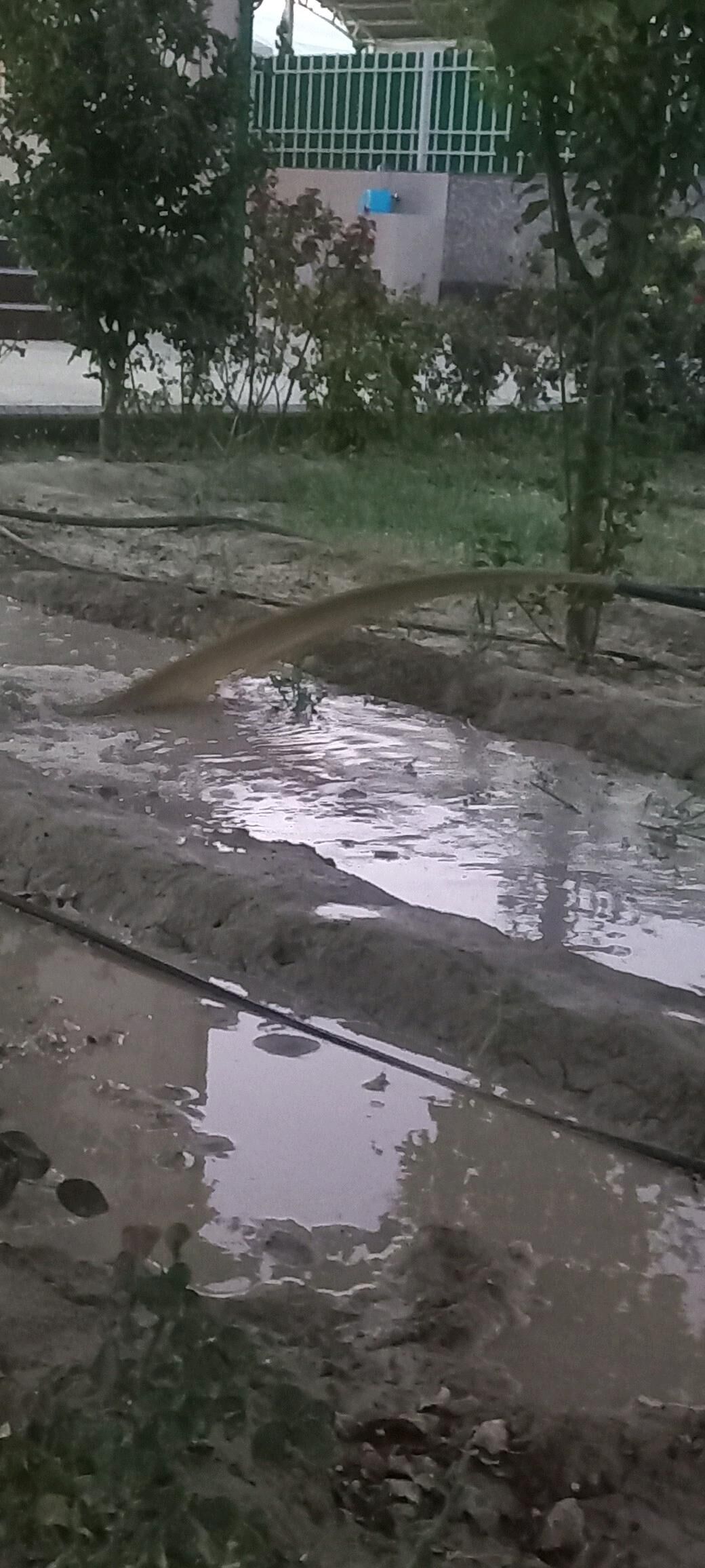 Guyy gazyas - Änew - img 8