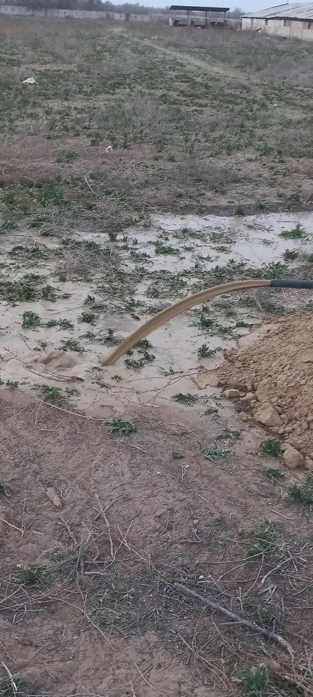 Guyy gazyas - Änew - img 2