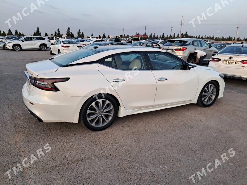 Nissan Maxima 2023 - 300 000 TMT - Мары - img 5