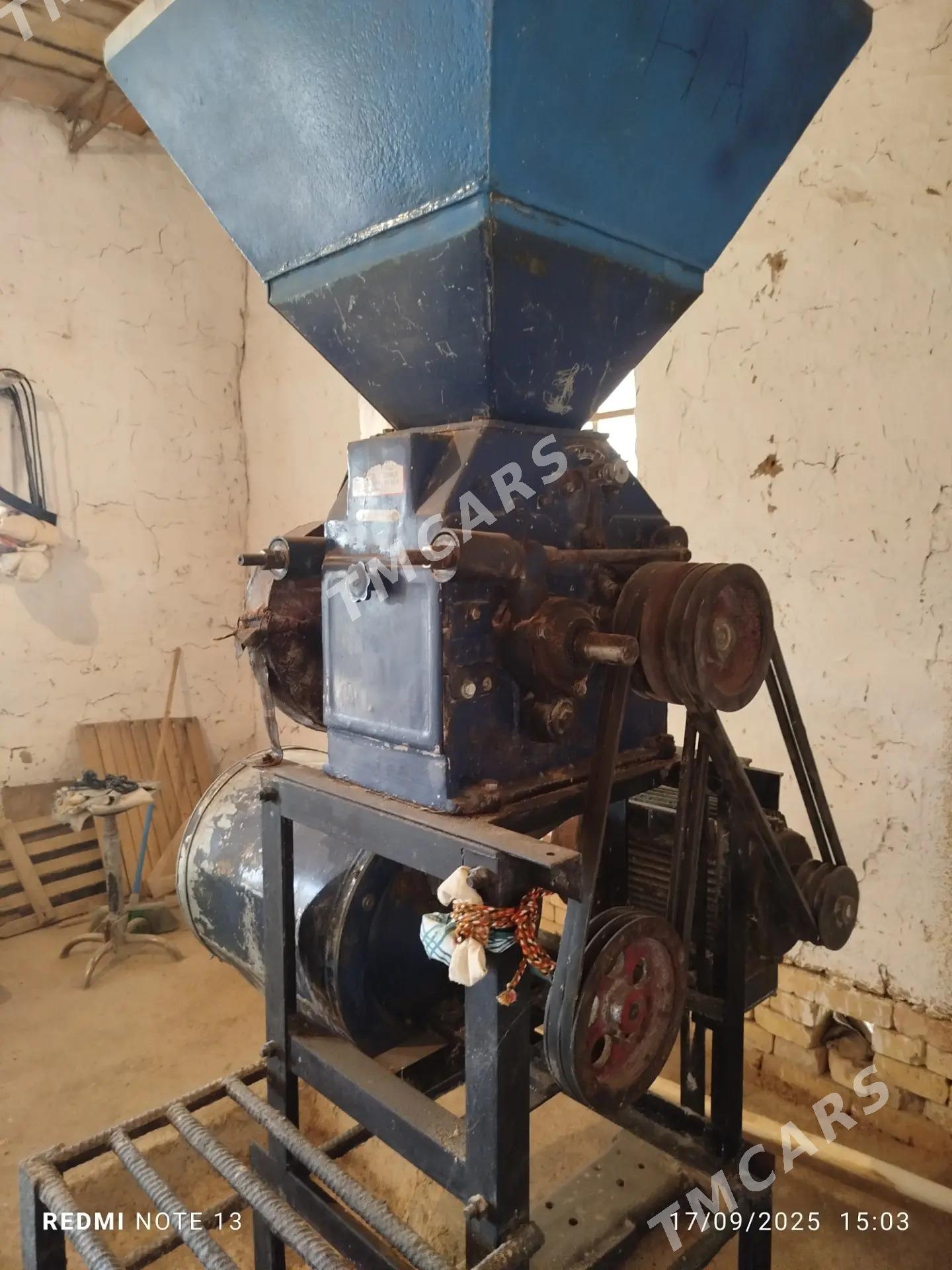 Haraz un çykayan - Ýolöten - img 3