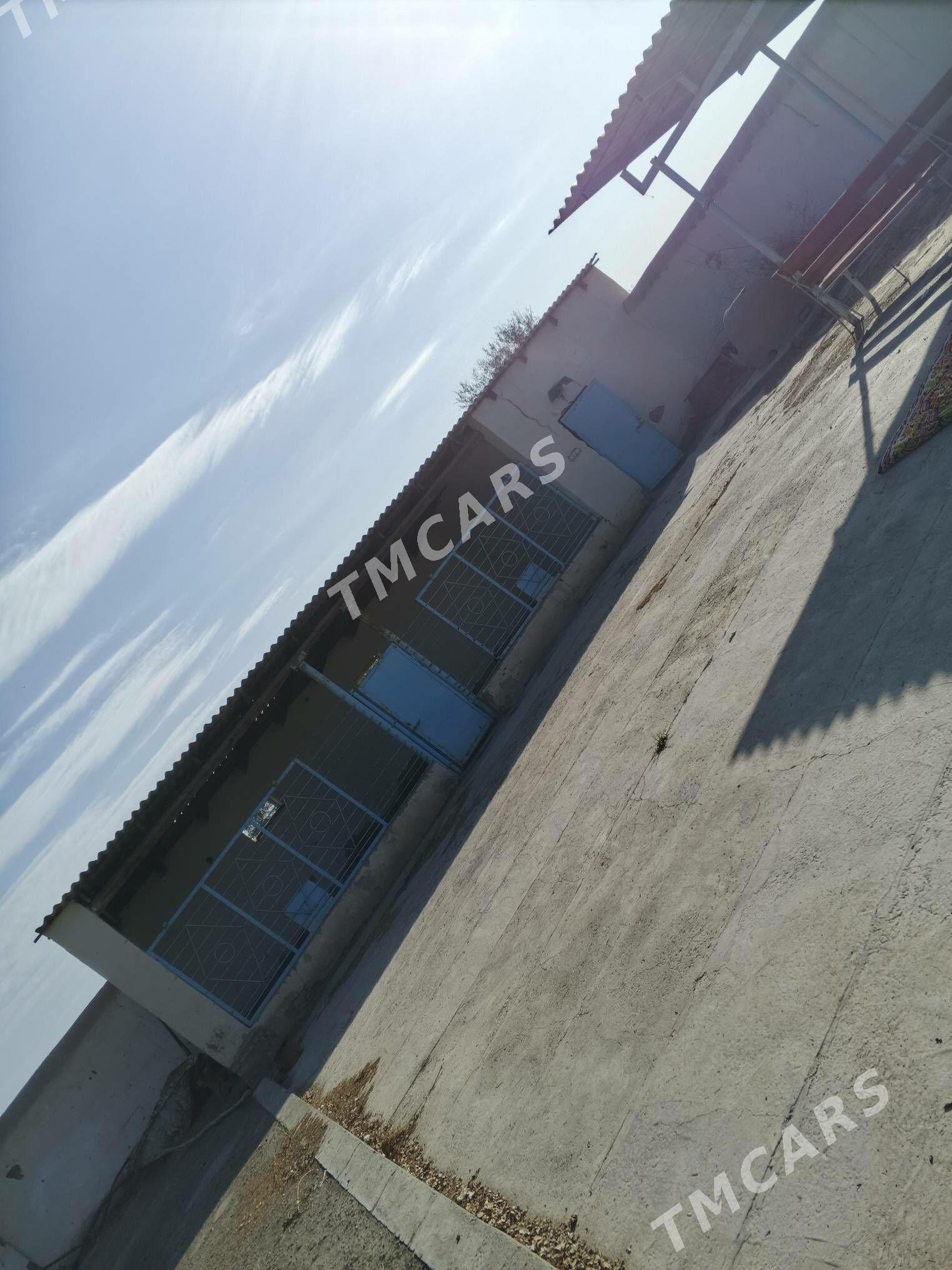 satlyk jay - Daşoguz - img 6