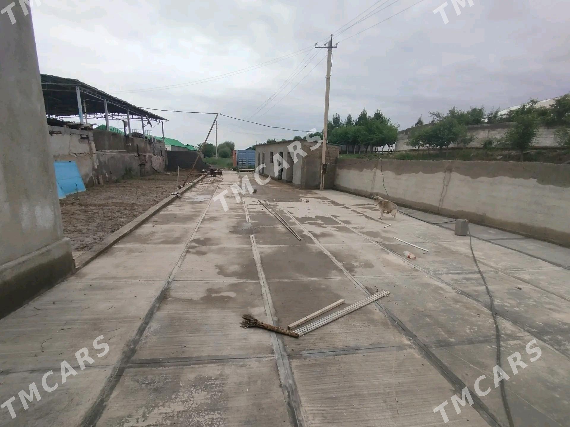 ARENDA PLAN BAGYR MIREWE - Багир - img 3