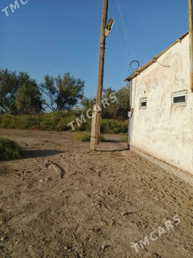 satlyk jay - Daşoguz - img 5