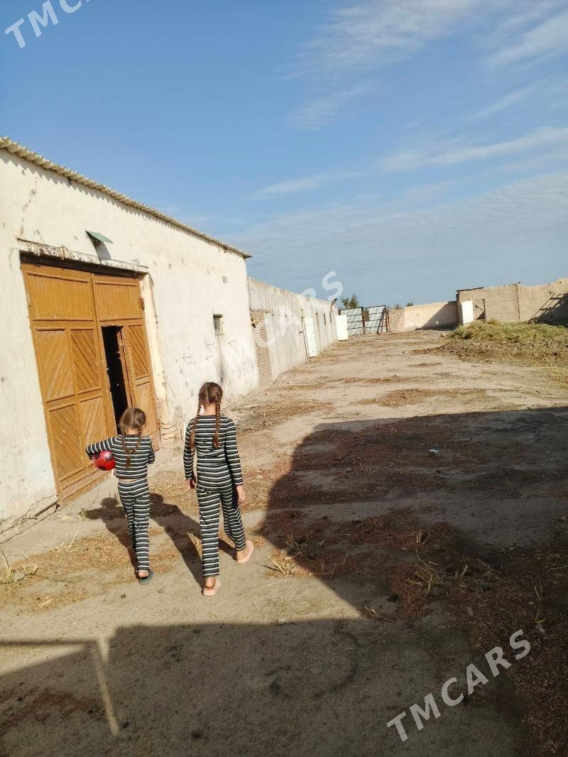 satlyk jay - Daşoguz - img 3