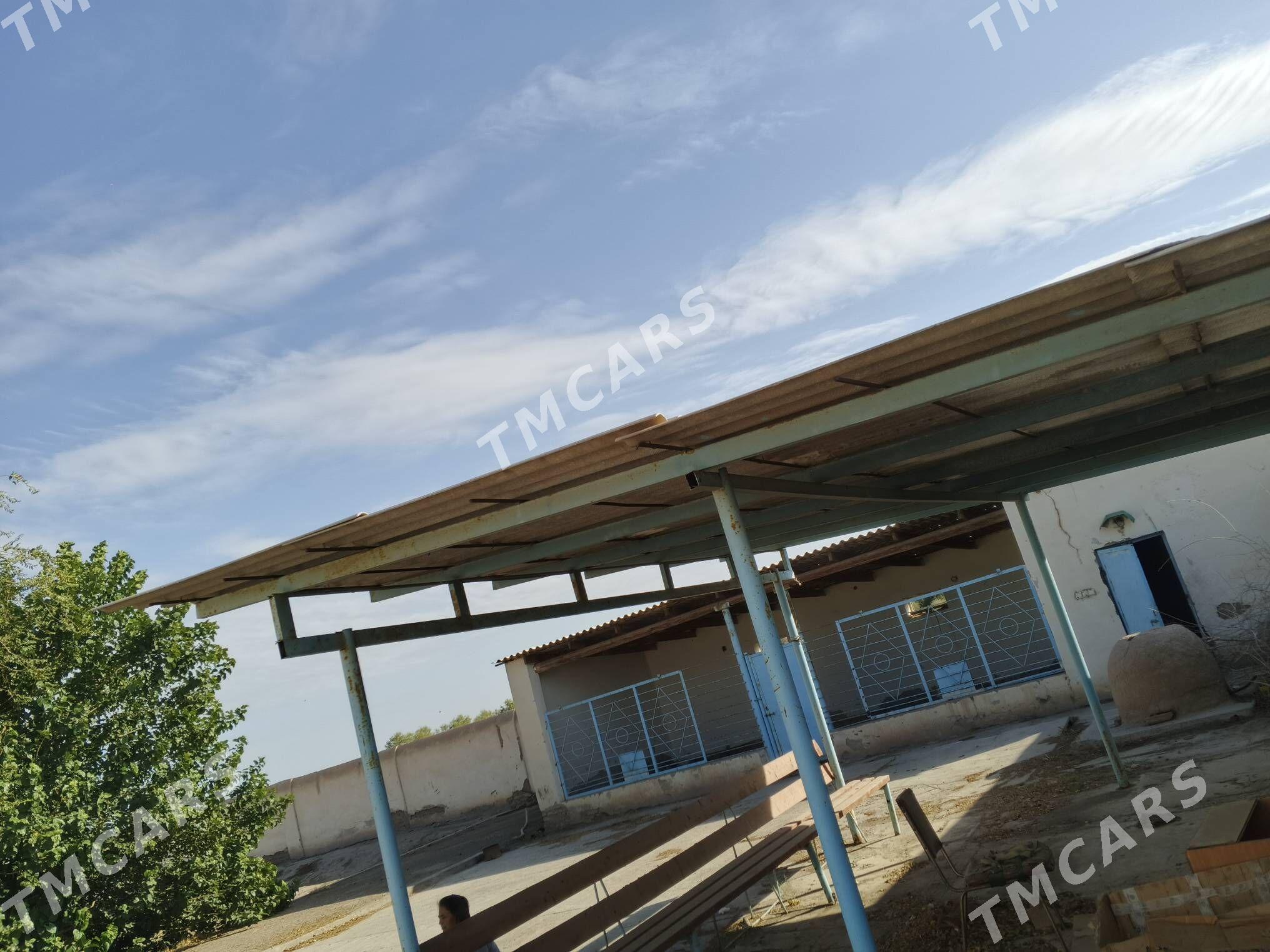 satlyk jay - Daşoguz - img 9