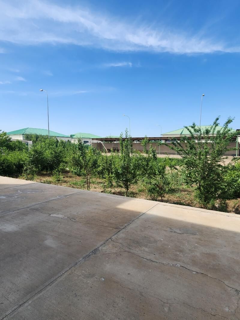 Тазе Оба 2эт Коттедж А блог - Daşoguz - img 6