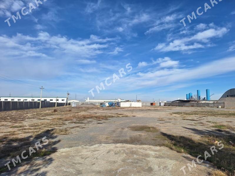 Yer. Edara - Анев - img 2