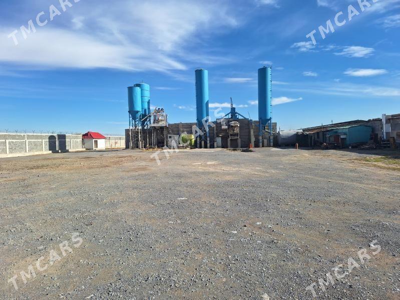 Yer. Edara - Анев - img 3