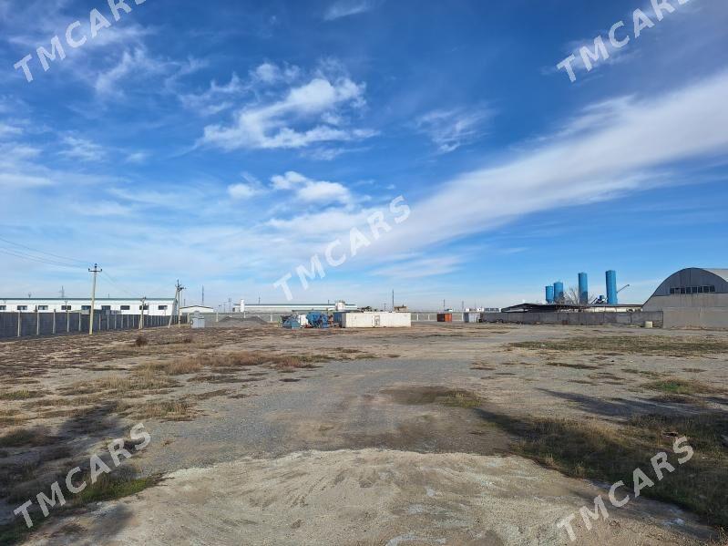 Yer. Edara - Анев - img 4