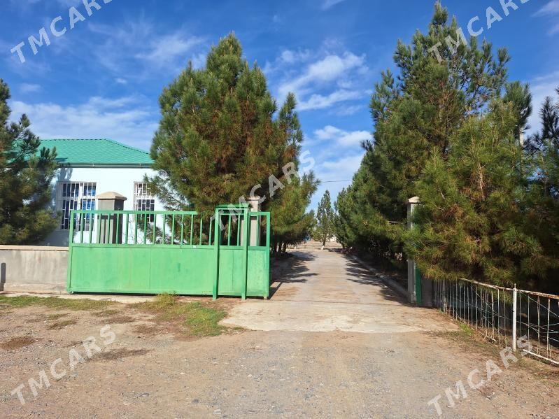 Yer. Edara - Анев - img 6