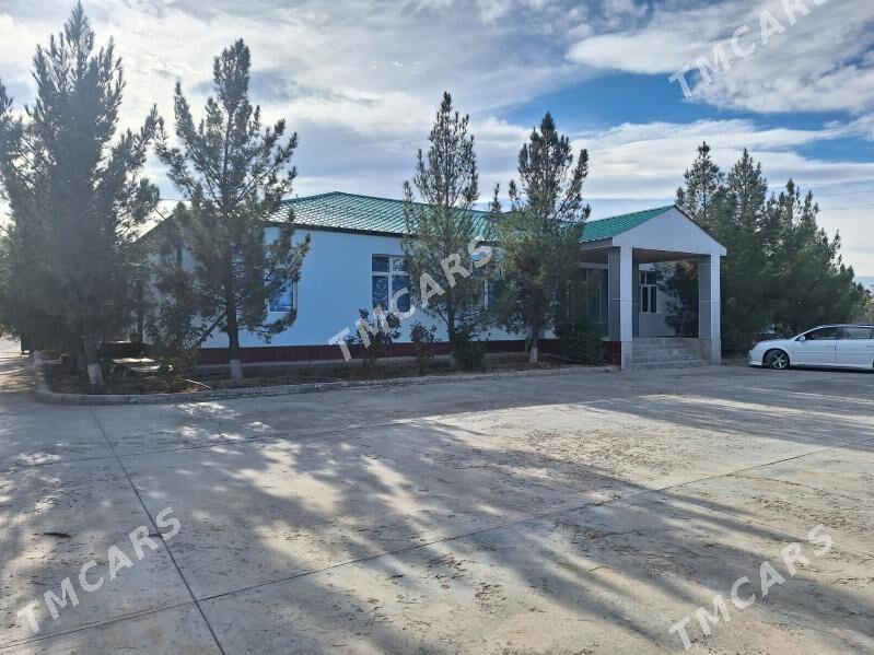 Yer. Edara - Анев - img 5