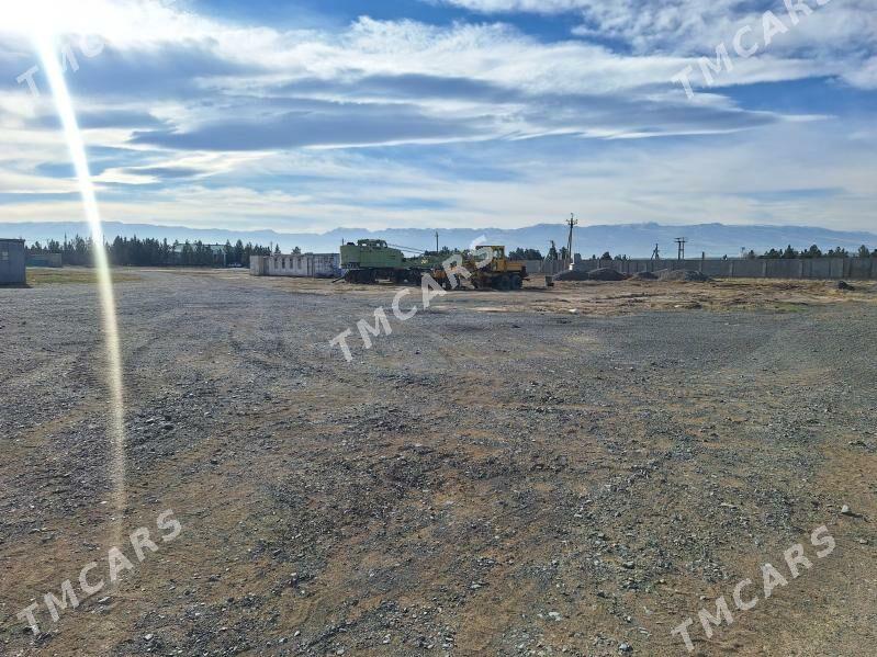 Yer. Edara - Анев - img 8