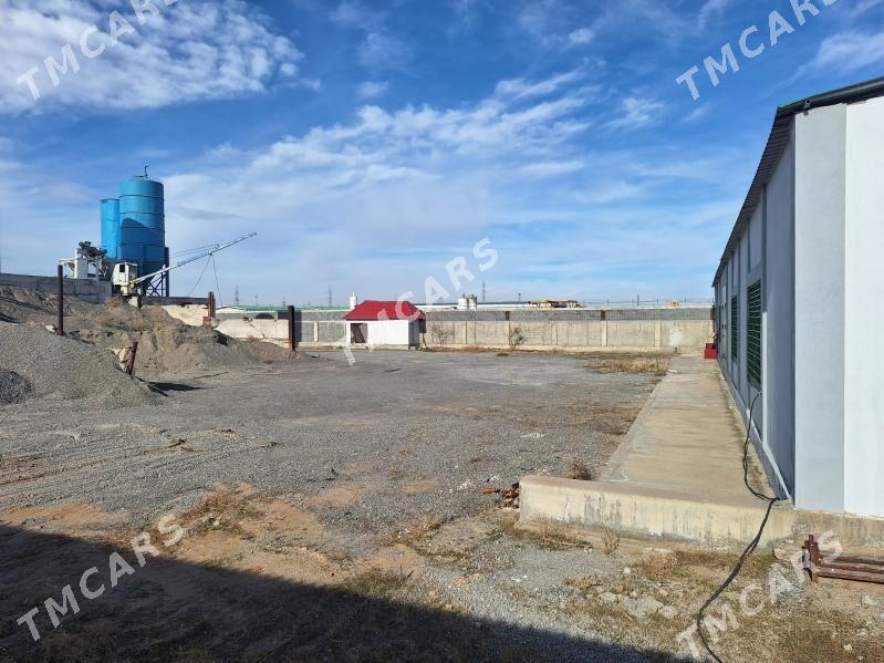 Yer. Edara - Анев - img 9