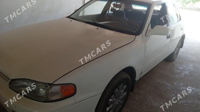 Toyota Camry 1992 - 80 000 TMT - Saýat - img 2
