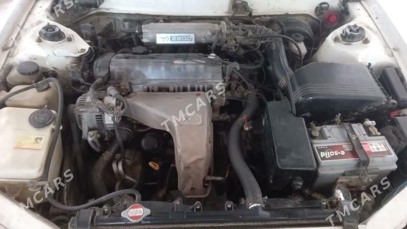 Toyota Camry 1992 - 80 000 TMT - Saýat - img 4
