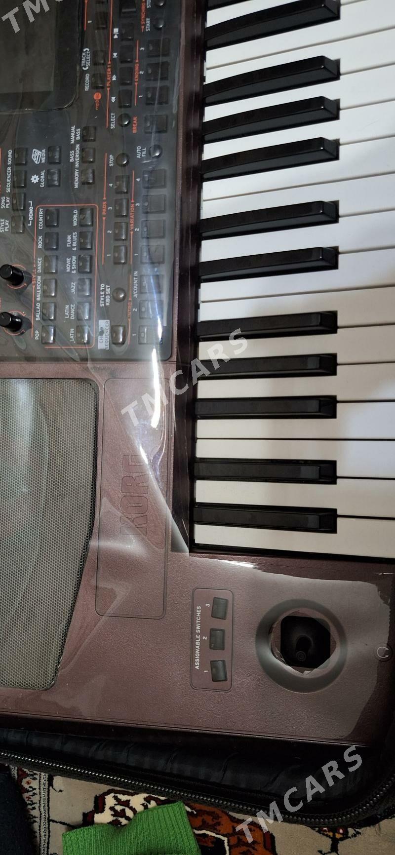 KORG PA1000 - Aşgabat - img 3