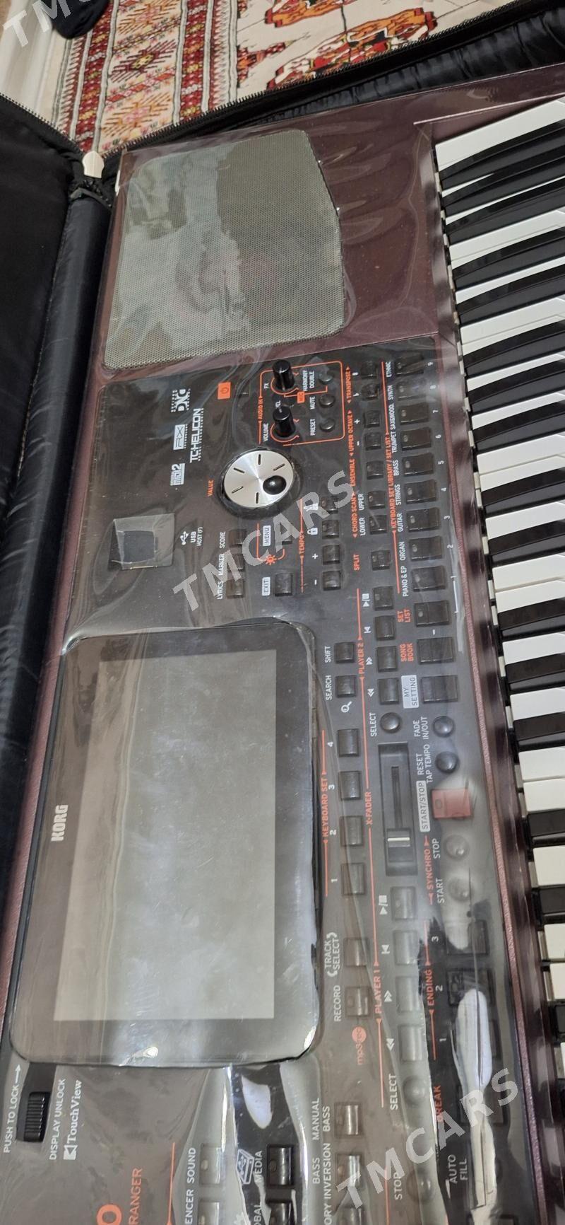 KORG PA1000 - Aşgabat - img 2