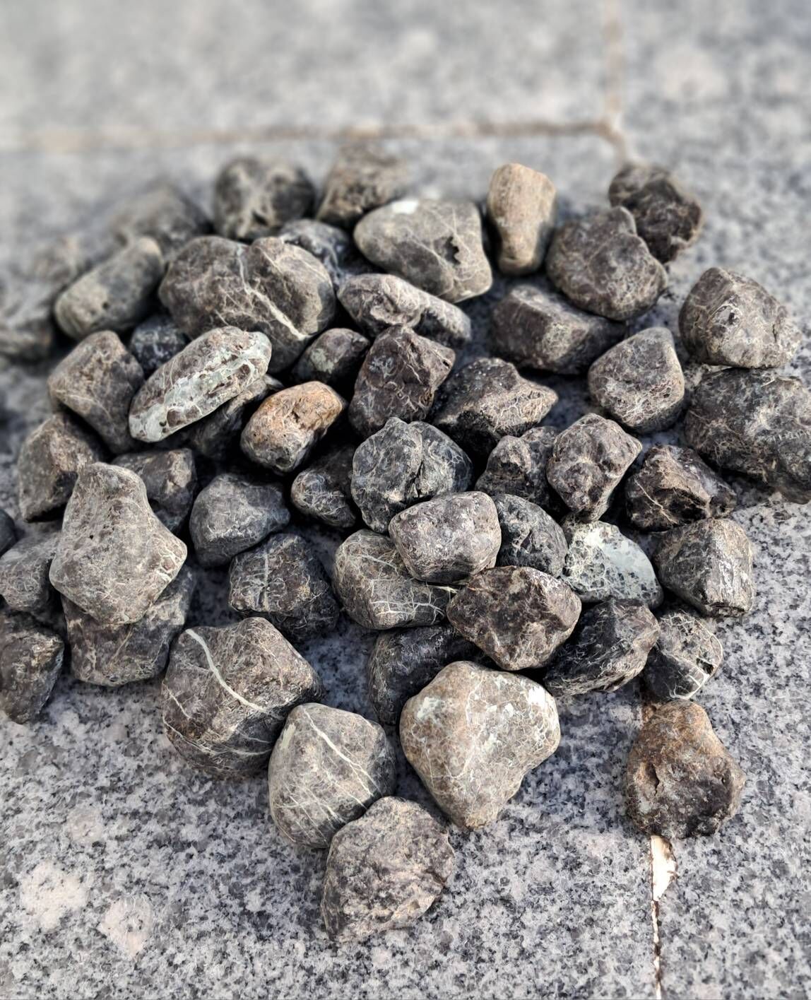 ️Dekoratiw daslar - Aşgabat - img 7