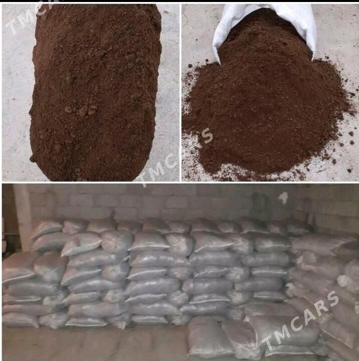 DERS GUM MİTİ - Bedew - img 8