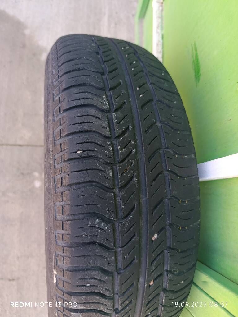 balon 175/65/14 300 TMT - Дашогуз - img 2